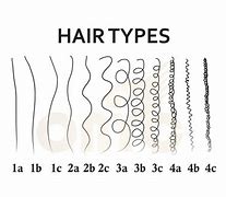 Image result for Different Natural Hair Types