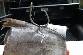 Image result for Bridle Clip for Fishing