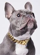 Image result for Chain Link Dog Collar