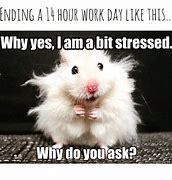 Image result for Stressed Out Funny Work Meme