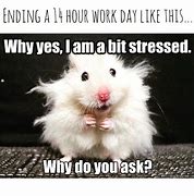 Image result for Stressed Guy at Work Wall Meme