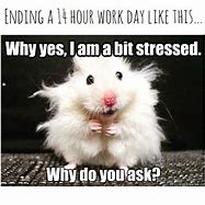 Image result for Avoid Stress at Work Meme
