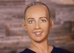 Image result for Life Like Robots in Japan
