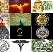 Image result for Alchemy Animal