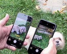 Image result for iPhone SE vs iPhone 10