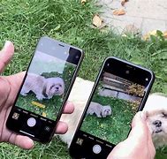 Image result for iPhone XR Size Comparison 7