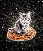 Image result for Galaxy Pizza Cat Wallpaper