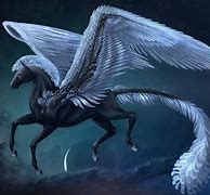 Image result for pegasus wing