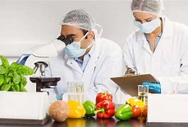 Image result for Food Scientist