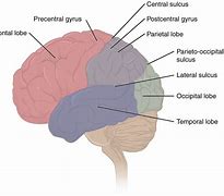 Image result for Structure of Memory System