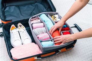 Image result for Good Quality Travel Organizer