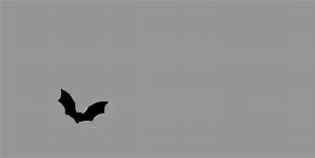 Image result for Bat Scary Cartoon Clear Back