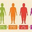 Image result for How to Determine Height From BMI and Weight