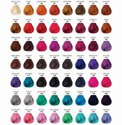 Image result for Amazing Hair Color