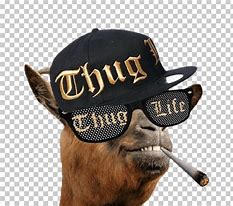Image result for Thug Life Sticker Meme