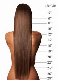 Image result for 15 Cm Hair