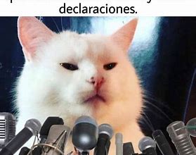 Image result for Gato Meme Espanol