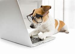 Image result for Dog with Phone and Computer
