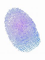 Image result for Color Fingerprint