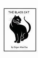 Image result for MTM Enterprises The Black Cat