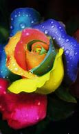 Image result for Animated Rainbow Flowers