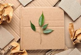 Image result for Sustainable Packaging Materials