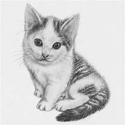 Image result for Kitten Drawing