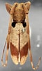 Image result for "subeucalanus Monachus". Size: 60 x 100. Source: bezbycids.com