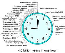 Image result for 16 On 24 Hour Clock