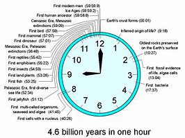 Image result for How Long Is a Day in Hours