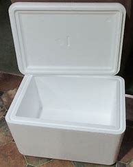 Image result for Styrofoam Cooler for 6 Cans