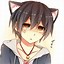 Image result for Anime Cat Boy