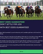 Image result for Different Kinds of Horse Racing