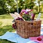 Image result for Individual Picnic Baskets