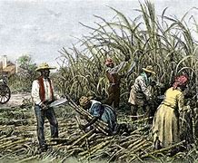 Image result for 1800s Farm