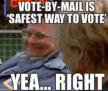 Image result for Vote by Mail Meme