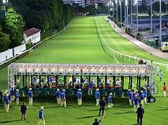 Image result for Happy Valley Hong Kong Horse Racing