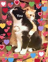 Image result for Wholesome Ily Memes