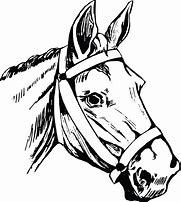 Image result for Horse Head Clip Art Transparent