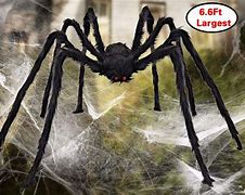 Image result for Spider Creepy for Halloween Image