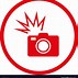 Image result for Camera Flash Icon