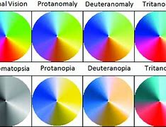 Image result for Black and White Color Blindness