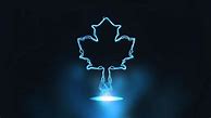 Image result for Toronto Raptors Maple Leaf Gardens
