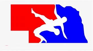 Image result for Pro Wrestling Logo