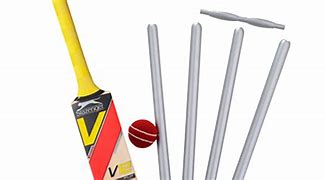 Image result for Objects Associated with Cricket