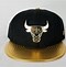 Image result for Gold Chicago Bulls Hat