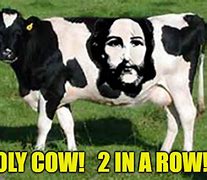 Image result for Holy Cow Meme Drip