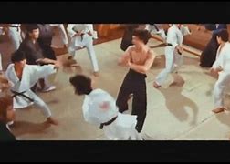 Image result for Martial Arts Fighting Styles