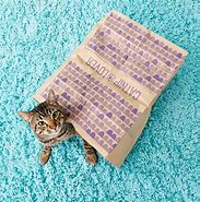 Image result for Catnip Paper Bag