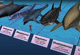 Image result for What Is the Biggest Sea Animal in the World